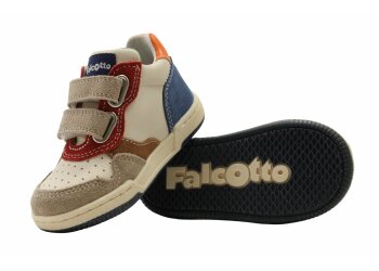 Falcotto baskettertje