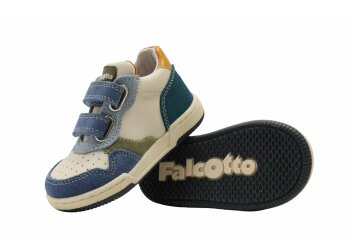 Falcotto baskettertje