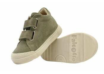 Falcotto baskettertjes