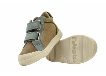 Falcotto baskettertjes
