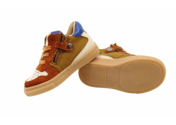 Rondinella baskettertjes