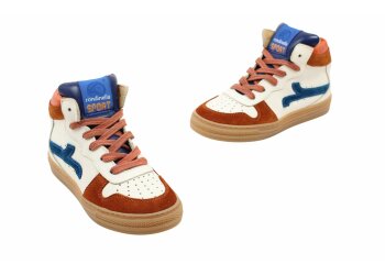 Rondinella basketters