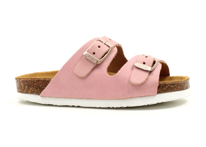 Plakton slipper