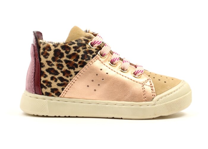 Falcotto basketters