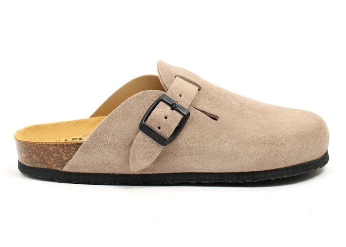 Plakton pantoffel