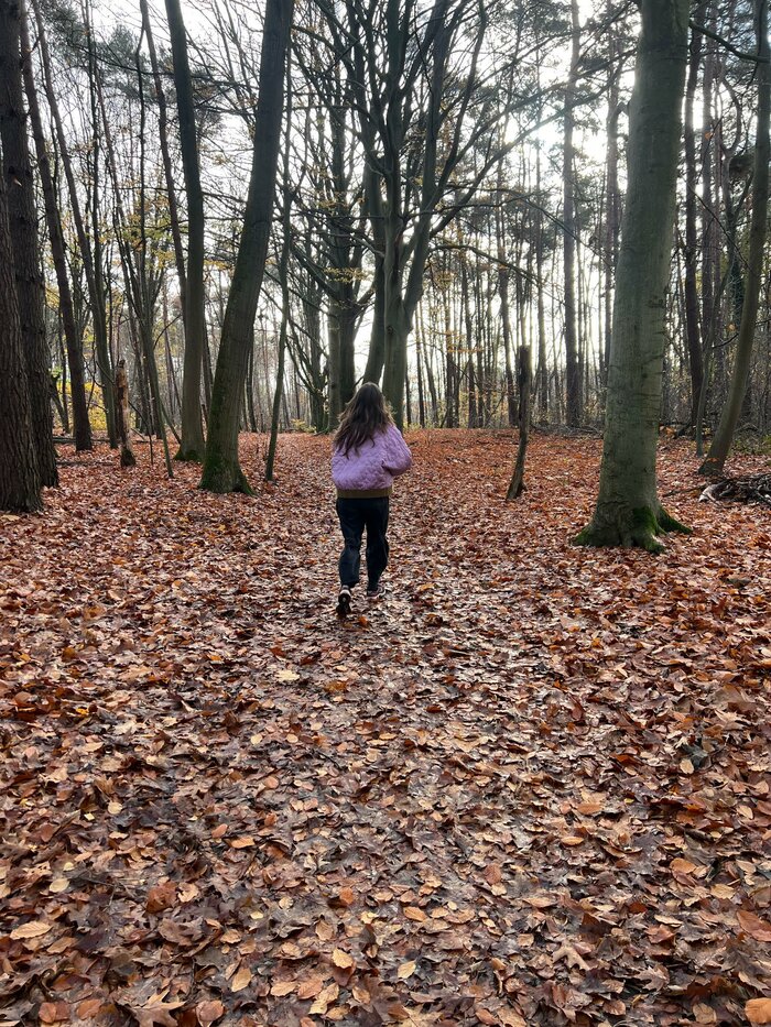 Hippeschoentjes Hippeschoentjes